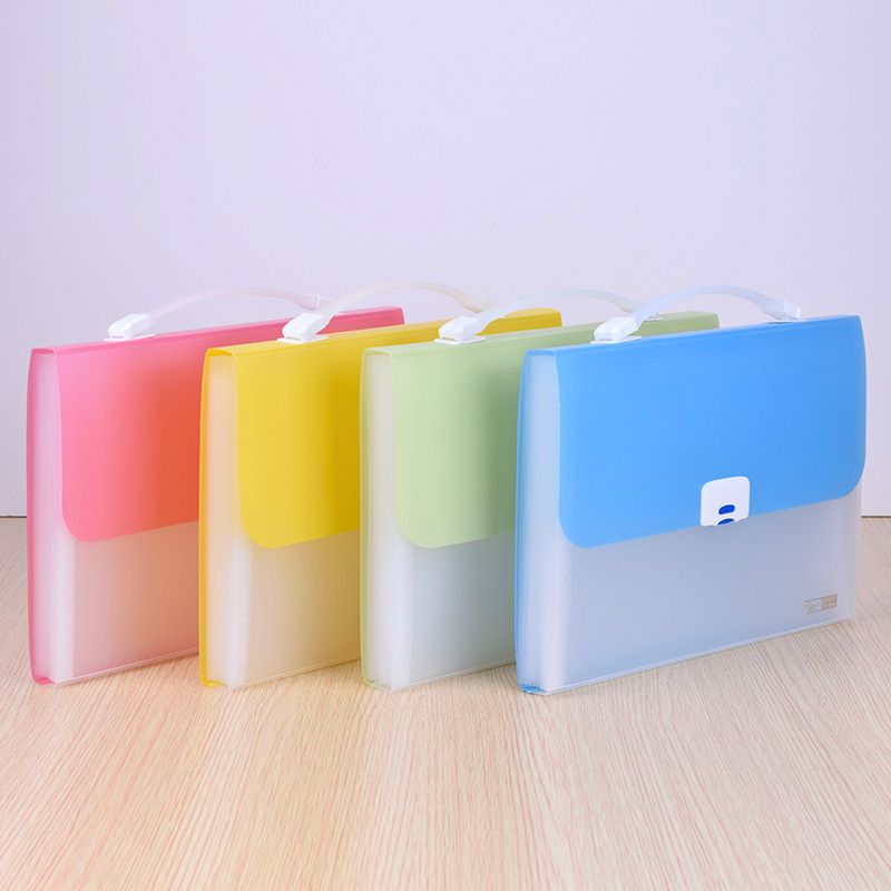Pearlescent Portable Document Bag